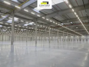 Pronájem výrobních prostor, Hladké Životice, Kujavská, 29000 m2