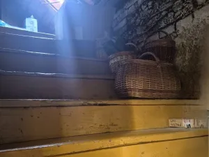 Prodej činžovního domu, Domažlice, Husova třída, 292 m2