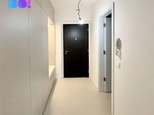 Pronájem bytu 2+kk, Ostrava, F. X. Riepla, 59 m2