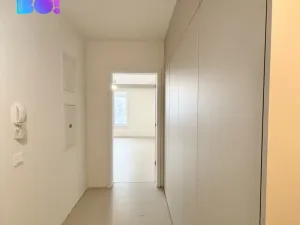 Pronájem bytu 2+kk, Ostrava, F. X. Riepla, 59 m2