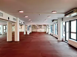 Pronájem obchodního prostoru, Praha, Chrudimská, 360 m2