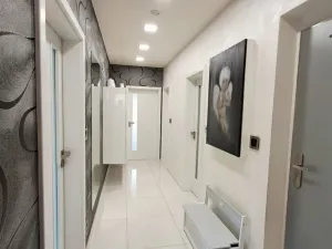 Pronájem bytu 3+kk, Plzeň - Severní Předměstí, Pod Kostelem, 75 m2