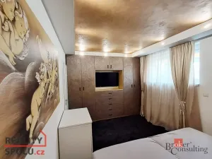 Pronájem bytu 3+kk, Plzeň - Severní Předměstí, Pod Kostelem, 75 m2