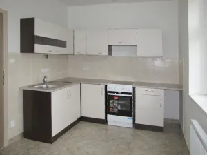 Pronájem bytu 1+1, Plzeň - Jižní Předměstí, V Šipce, 54 m2