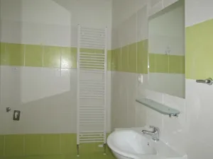 Pronájem bytu 1+1, Plzeň - Jižní Předměstí, V Šipce, 54 m2