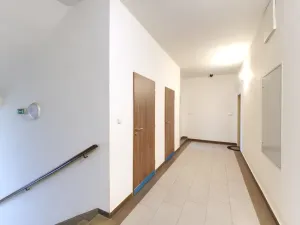 Pronájem bytu 1+1, Plzeň - Jižní Předměstí, V Šipce, 54 m2