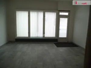 Pronájem obchodního prostoru, Ostrava - Vítkovice, Ruská, 48 m2