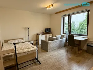 Pronájem bytu 1+kk, Tachov, Boženy Němcové, 28 m2