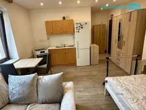 Pronájem bytu 1+kk, Tachov, Boženy Němcové, 28 m2