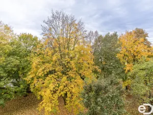 Pronájem bytu 2+1, Kolín - Kolín II, Rimavské Soboty, 53 m2