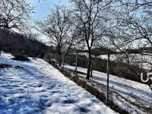 Prodej zahrady, Boskovice, Mánesova, 756 m2