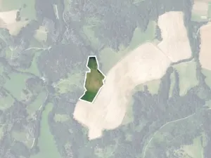 Prodej louky, Kunštát, 22834 m2