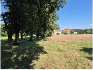 Prodej pole, Čachovice, 33773 m2