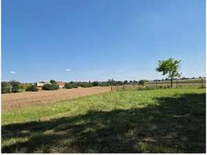 Prodej pole, Čachovice, 33773 m2