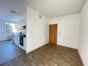 Pronájem bytu 3+1, Litvínov, Mládežnická, 84 m2