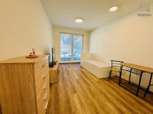 Pronájem bytu 1+kk, Brno, Bystrcká, 28 m2
