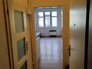 Pronájem bytu 1+kk, Praha - Žižkov, Žerotínova, 24 m2
