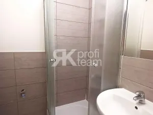 Pronájem bytu 2+1, Ostrava, Dvouletky, 51 m2