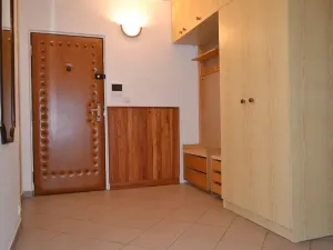 Prodej bytu 2+1, Ostrov, Lidická, 59 m2