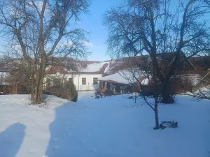 Prodej rodinného domu, Horní Radslavice, 883 m2