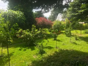 Prodej rodinného domu, Dětřichov nad Bystřicí, 140 m2