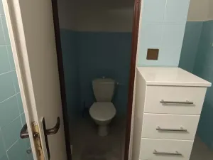 Pronájem rodinného domu, Písek, Strakonická, 150 m2