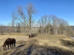 Prodej zemědělského objektu, Vimperk, Hájná Hora, 58189 m2
