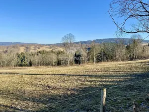 Prodej zemědělského objektu, Vimperk, Hájná Hora, 58189 m2