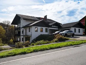 Prodej bytu 2+kk, Železná Ruda, 58 m2