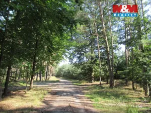 Prodej chaty, Kropáčova Vrutice - Střížovice, 38 m2