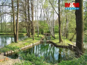 Prodej chaty, Kropáčova Vrutice - Střížovice, 38 m2