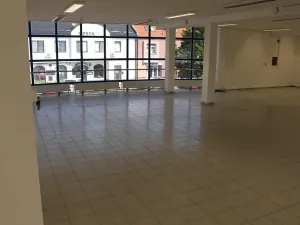 Pronájem obchodního prostoru, Prostějov, Wolkerova, 390 m2