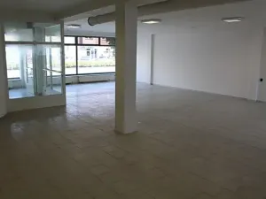 Pronájem obchodního prostoru, Prostějov, Wolkerova, 145 m2