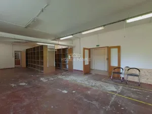 Pronájem výrobních prostor, Židlochovice, Žerotínovo nábřeží, 985 m2