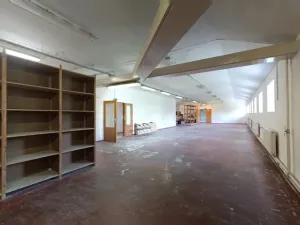 Pronájem výrobních prostor, Židlochovice, Žerotínovo nábřeží, 985 m2