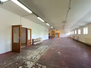 Pronájem výrobních prostor, Židlochovice, Žerotínovo nábřeží, 985 m2