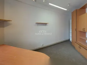 Pronájem výrobních prostor, Židlochovice, Žerotínovo nábřeží, 985 m2