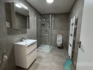 Pronájem bytu 2+kk, České Budějovice, Na Zlaté stoce, 50 m2