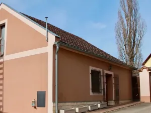 Prodej rodinného domu, Čečelice, Všetatská, 650 m2