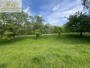 Prodej pozemku, Hřibojedy, 2371 m2