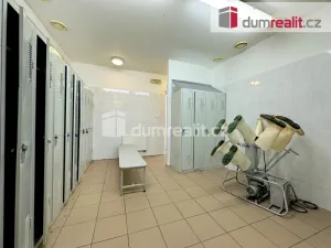 Pronájem výrobních prostor, Vimperk - Vimperk III, Špidrova, 22351 m2