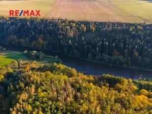 Prodej lesa, Všehrdy, 35057 m2