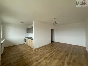 Pronájem bytu 2+1, Bílina - Pražské Předměstí, Bezejmenná, 48 m2