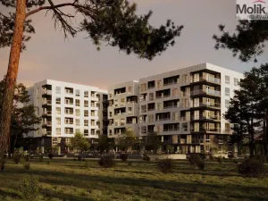 Prodej bytu 3+kk, Golem, 99 m2