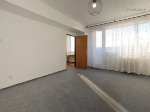 Prodej bytu 1+1, Mladá Boleslav - Mladá Boleslav II, Jana Palacha, 41 m2