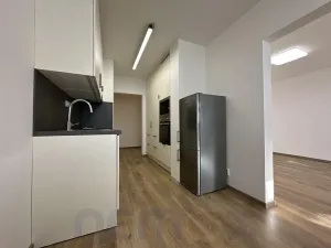 Pronájem bytu 1+1, Praha - Troja, Hnězdenská, 47 m2
