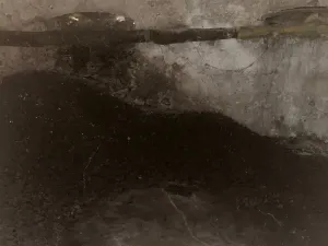 Prodej rodinného domu, Dolní Podluží, 250 m2