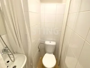 Pronájem bytu 1+kk, Opava - Předměstí, Haškova, 18 m2