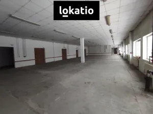 Pronájem skladu, Chomutov, 1244 m2