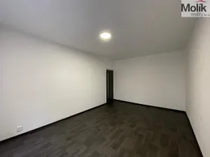 Pronájem bytu 2+1, Litvínov - Horní Litvínov, Podkrušnohorská, 55 m2